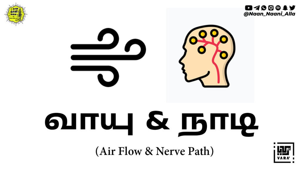 வாயு & நாடி