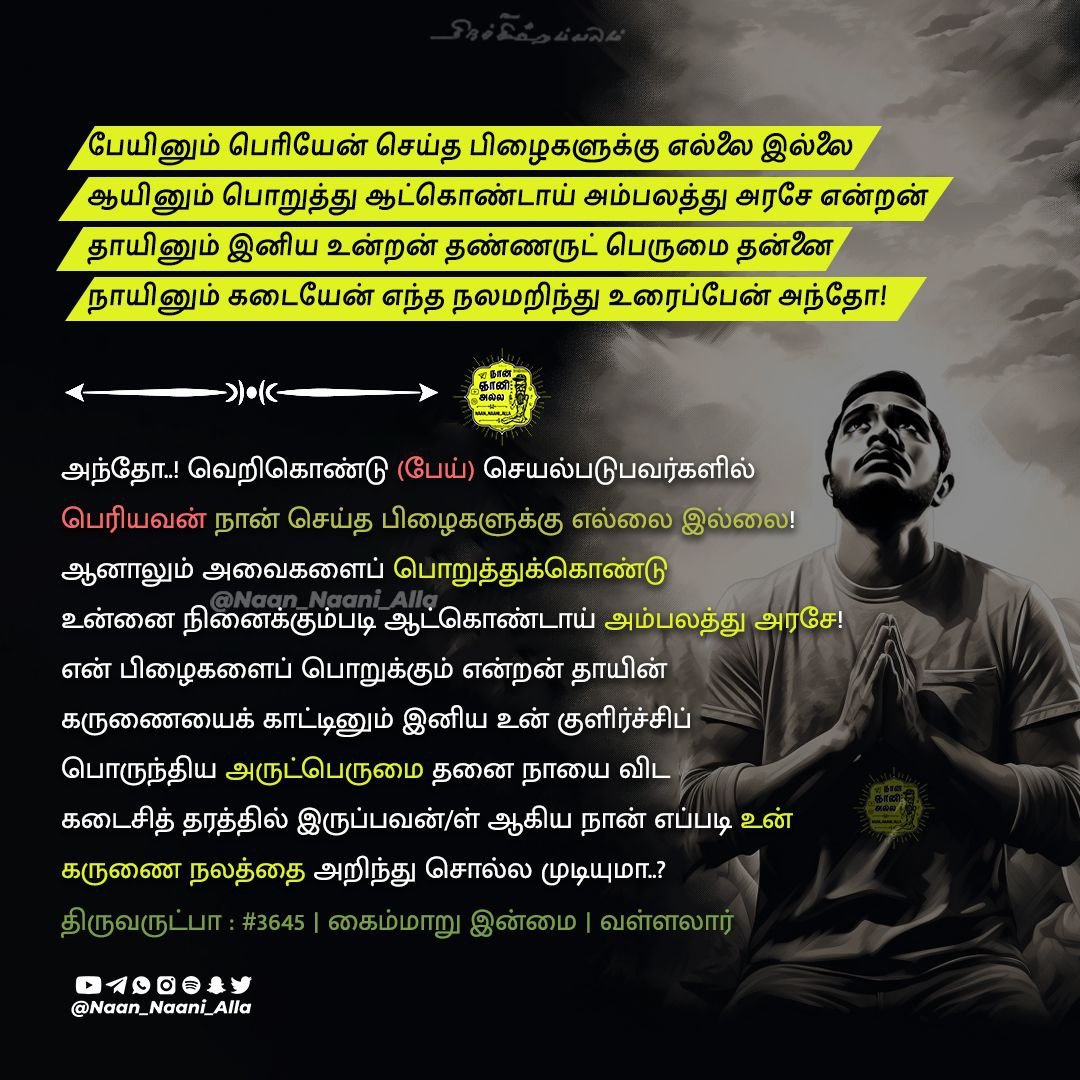 பெரியவன் நான் செய்த பிழைகளுக்கு எல்லை இல்லை — திருவருட்பா 3645 1
