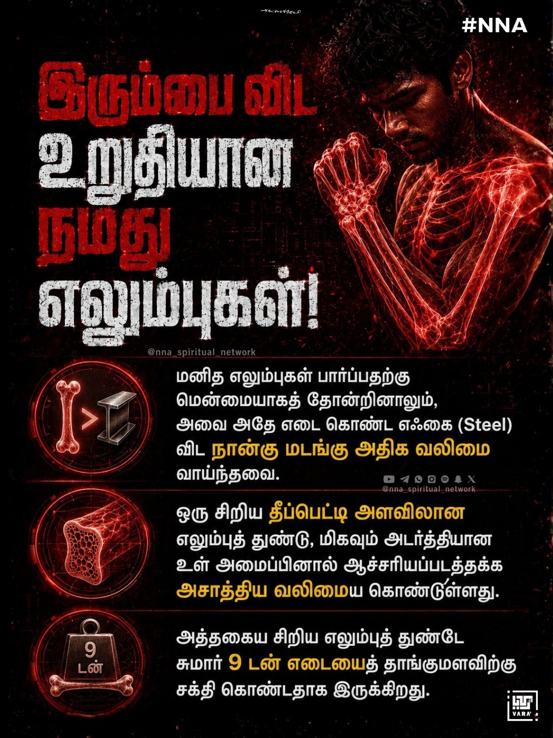 Mysterious_Human_body 5